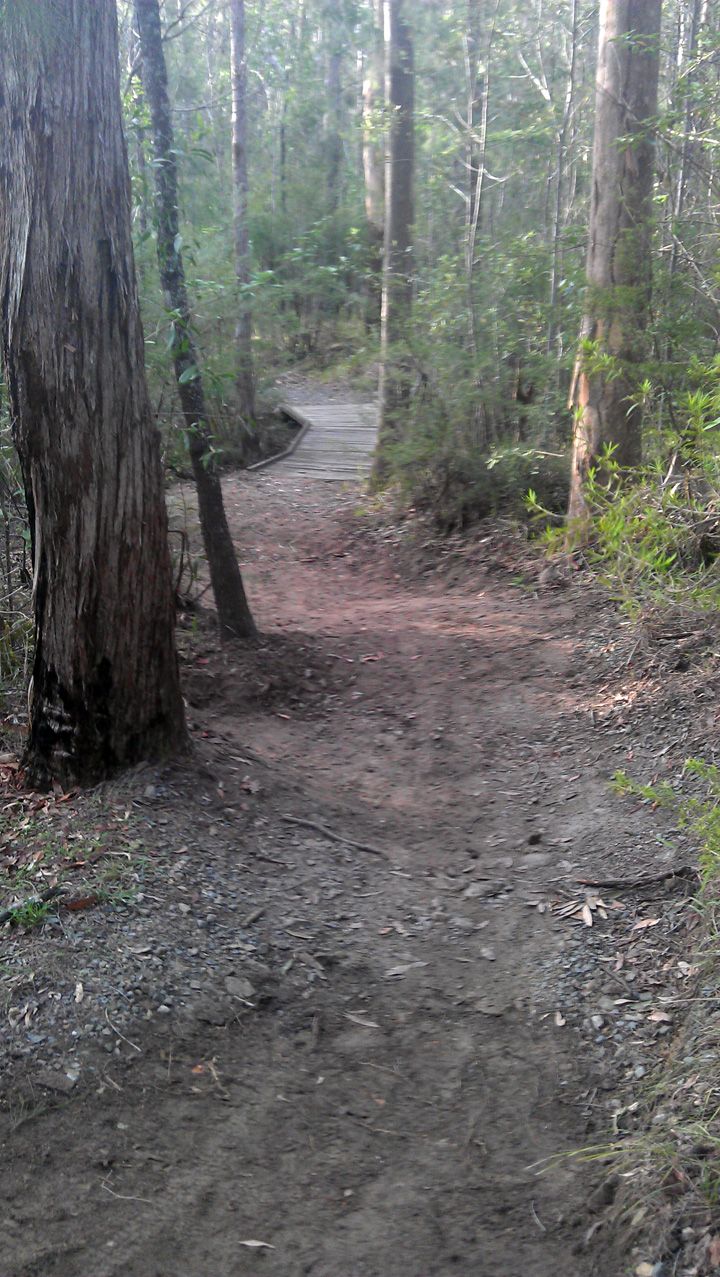Casuarina Grove, Drain 2.